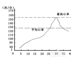 心律过缓，心律过缓是怎么治疗
