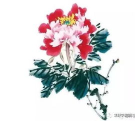 牡丹花初学画法，画牡丹三加三口诀