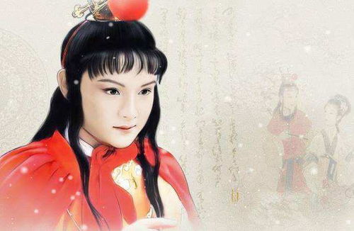 红楼梦作者，红楼梦作者是曹雪芹和谁