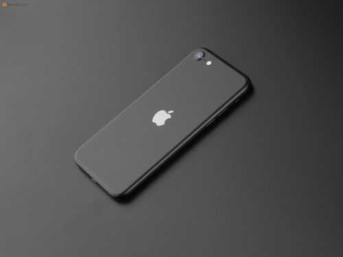 苹果SE2什么时候上市