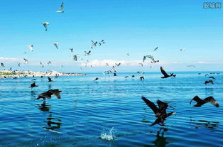 青海湖海拔，青海湖海拔多少米会有高原反应吗