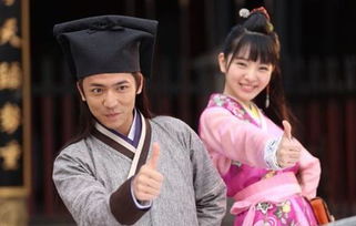 纳妾记电视剧，纳妾记电视剧第一季