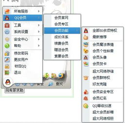 QQ大会员有什么功能