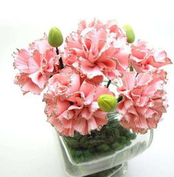 康乃馨手工花，康乃馨手工花束