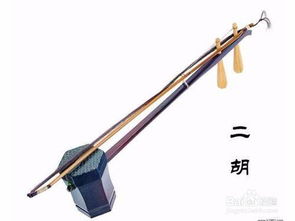 二胡入门指法图解，二胡入门零基础自学