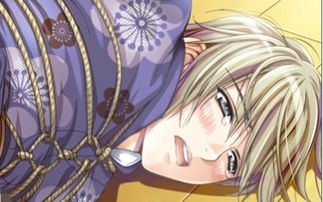 花町物语动画，花町物语动画在哪看