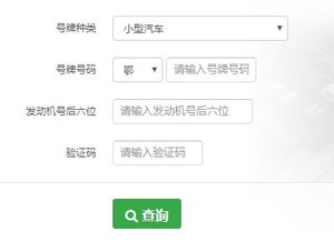 查年检车辆查询系统
