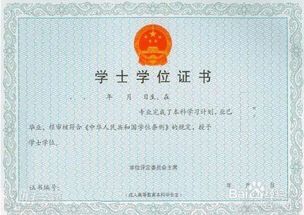 学历和学位怎么填写，怎么查自己的文凭学历