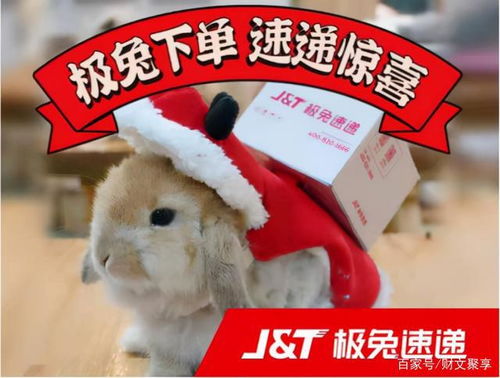 极兔快递怎么样，极兔快递怎么样快不快