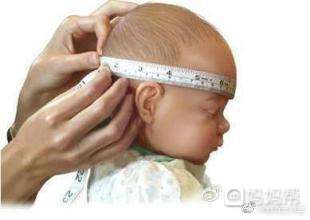 头围是什么意思