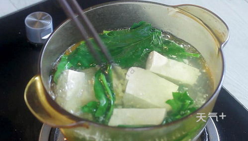 豆腐汤怎么做好吃，豆腐汤怎么做好吃又简单视频