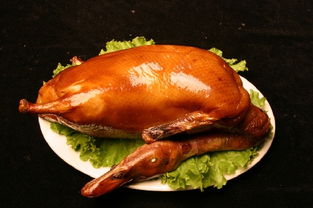 挂炉烤鸭，挂炉烤鸭加盟