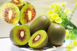 猕猴桃原产地