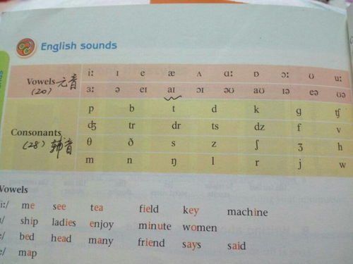 全部的英文，全部的英文怎么说