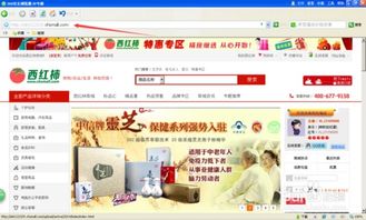 免费开网店，免费开网店免费供货