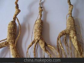 东北特产山参，东北特产山参黑构杞鹿茸