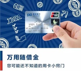 欠浦发万用金坐牢案例