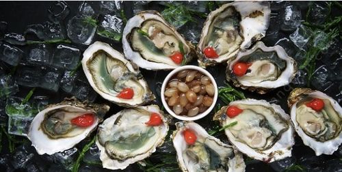 没开壳的生蚝能放几天，生蚝放冷藏10天还可以吃吗