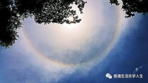 生命轮回，生命轮回电影