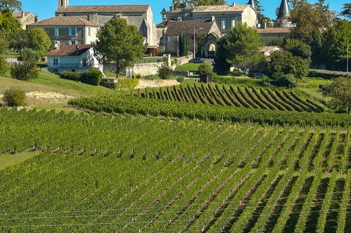 艮的拼音，退的拼音