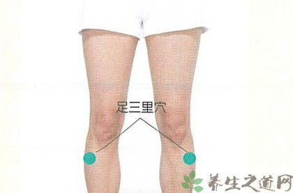 足三里的准确位置图女，足三里的准确位置图片
