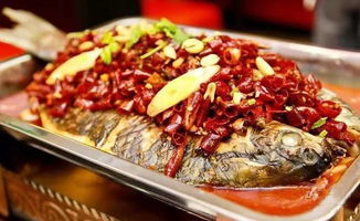 团购烤鱼，鱼酷烤鱼团购
