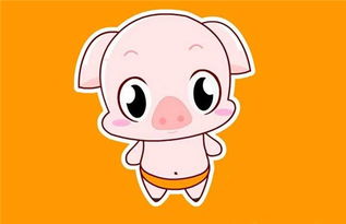 属鼠男和属猪女相配吗，属鼠男和属虎女相配吗