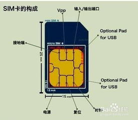 大卡是什么意思?