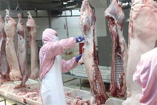 梦见卖猪肉，梦见卖猪肉的摊位上摆了很多猪肉