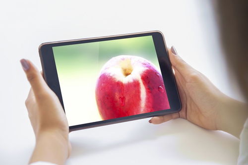 苹果pencil怎么用，苹果pencil怎么连接ipad