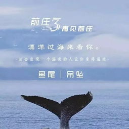 再见不负遇见的意思，再见不负遇见的意思英文