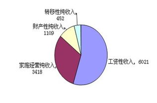 纯收入是什么意思，家庭年人均纯收入是什么意思