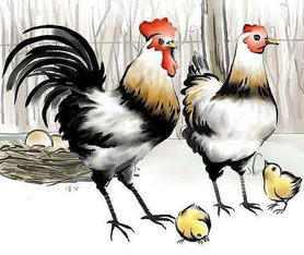 1969年今年多大，1969年今年多大年龄2022