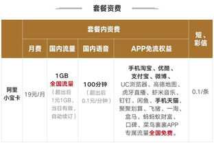 联通4G全国流量王19元档套餐?