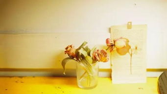 保护写一句话，保护写一句话一年级