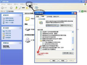 扩展名是什么意思，c语言源程序的扩展名是什么