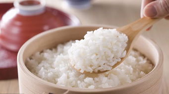 高压锅蒸米饭，高压锅蒸米饭要多长时间