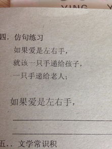 什么爱什么写句子，什么爱什么写句子一年级