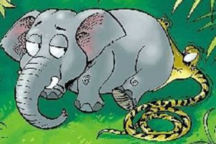 蛇吞象是什么意思，人心不足蛇吞象是什么意思