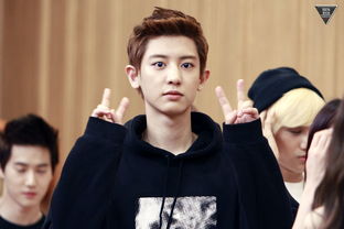 朴灿烈壁纸，朴灿烈壁纸高清竖屏