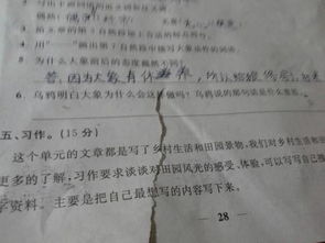 不论都造句，无论都造句五年级上册