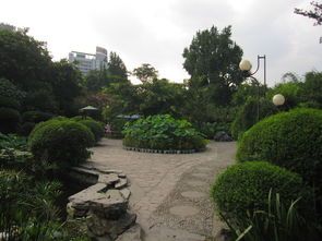 成都公园，成都公园排名