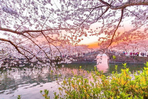 春游适合去什么地方，春游适合去什么地方玩