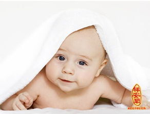 适合女孩名字的字有哪些，女孩起名常用1000字