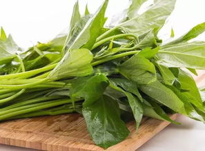 番薯叶的功效与作用，番泻叶的功效与作用