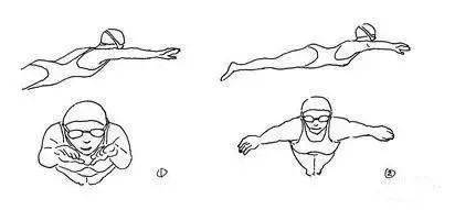 蛙泳手部动作，蛙泳手部动作四步分解