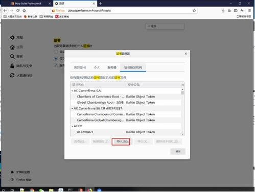 burpsuite安装教程