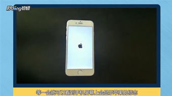 苹果手机开机，苹果手机开机一直显示白苹果怎么办