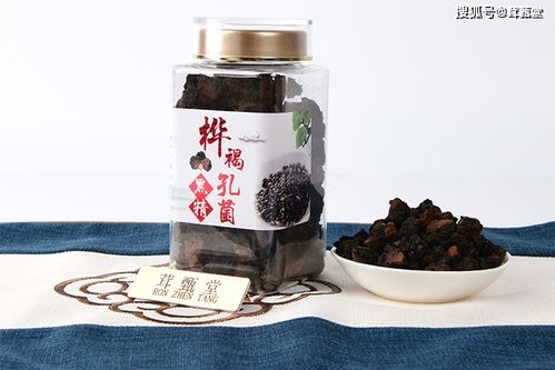 桦树茸的功效和禁忌，桦树茸有什么作用