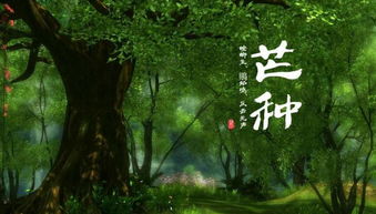 芒种是哪天